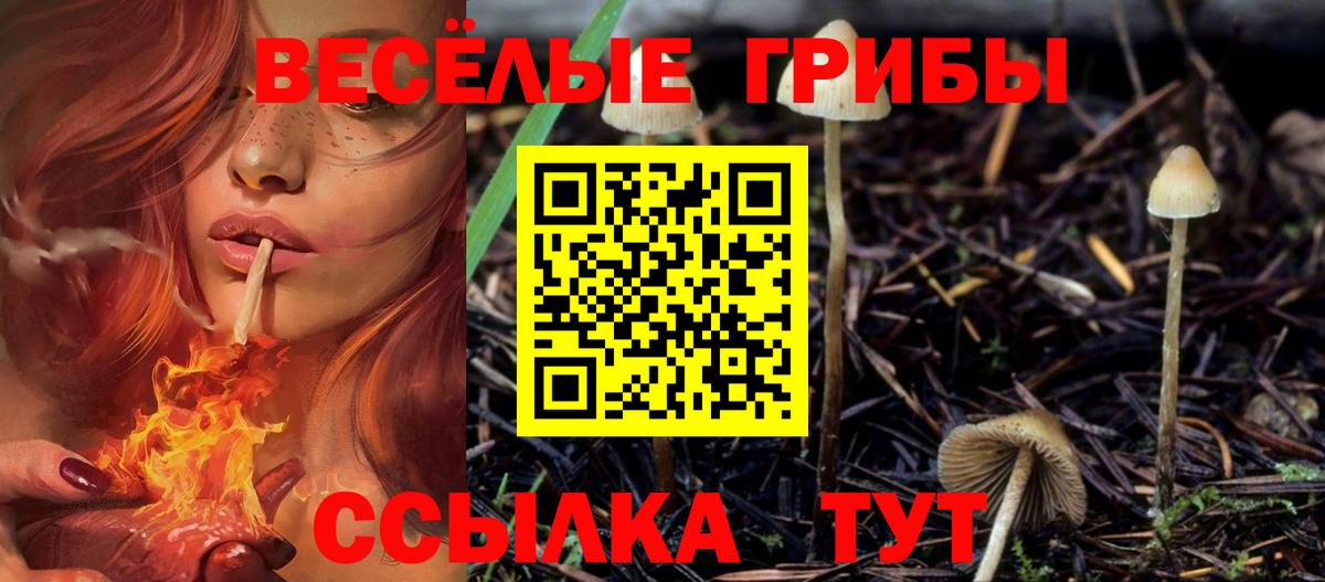 Галлюциногенные грибы мухоморы Алексин