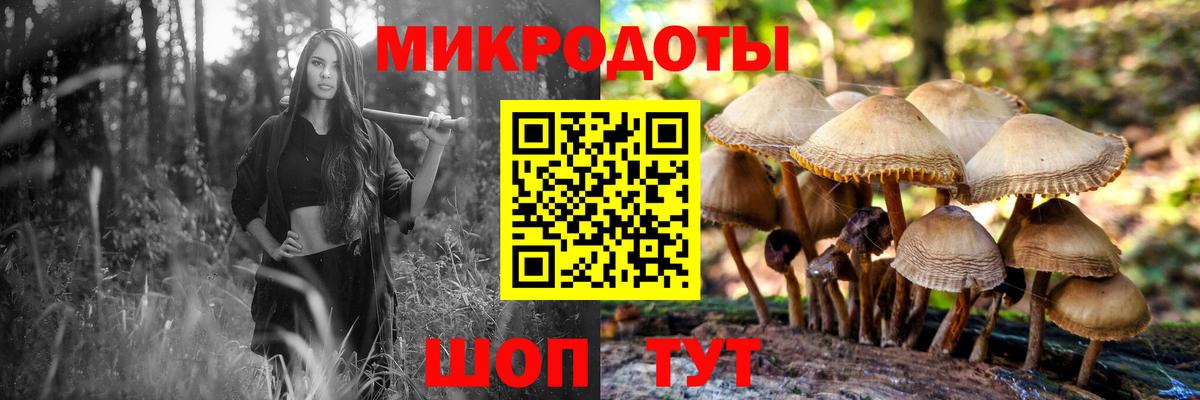 Алексин  Галлюциногенные грибы Cubensis  Галлюциногенные грибы Magic Shrooms  Вход с VPN 